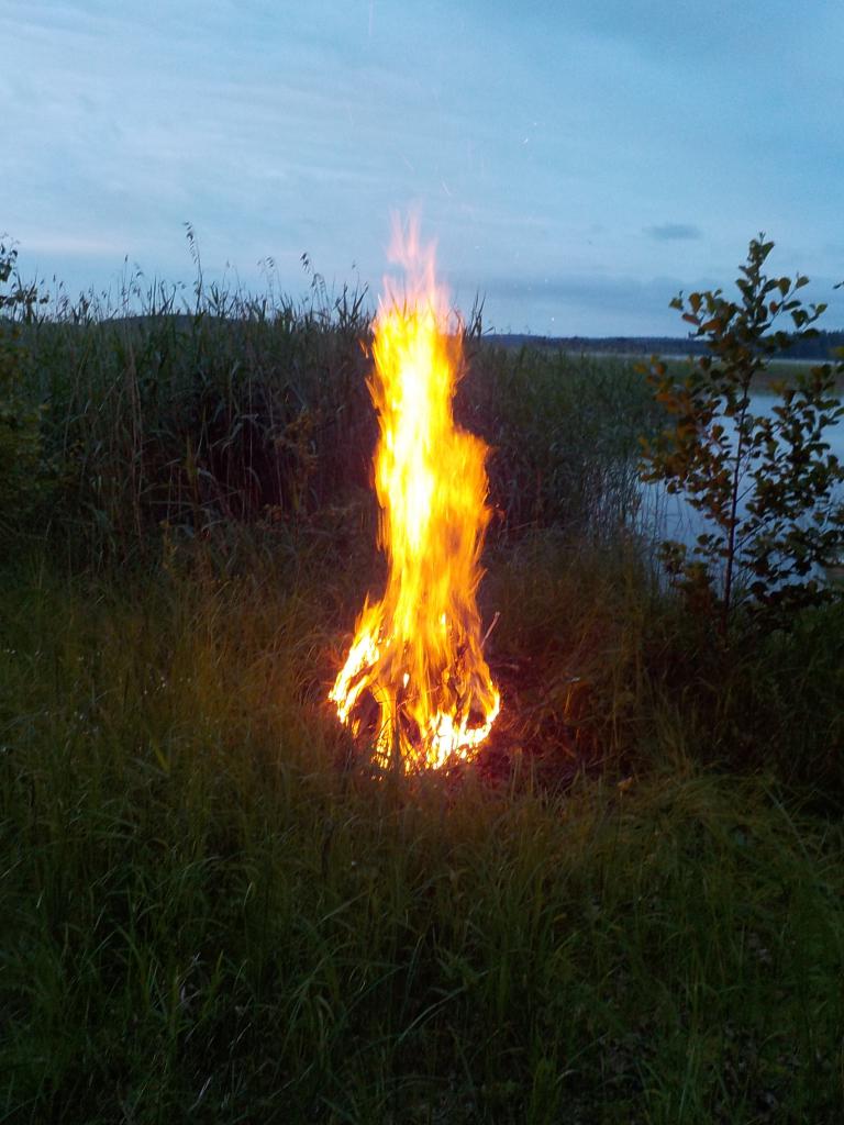 Kuva