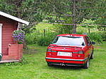 mikko 173
