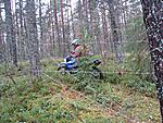 piikkilanka 2 1