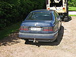 IMG 0593