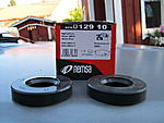 IMG 0979