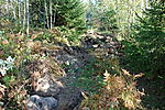 DSC 0197