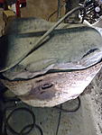 kuvii 002