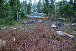 DSC 0165