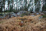 DSC 0161