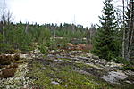 DSC 0169