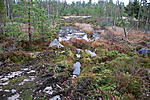 DSC 0170