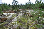 DSC 0171