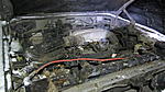 IMG 0055