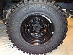 fedima evolution extreme rengas