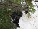 IMG 0298