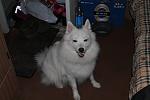 IMG 3237
