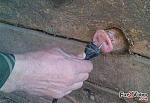 electric plug funny picture
