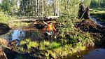 IMG 20150815 WA0012
