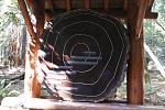 Muir Woods