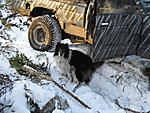 IMG 0455