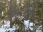 IMG 0451