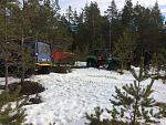IMG 0761
