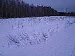 PICT0004