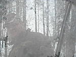 IMG 0507