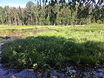 ladoga19 145