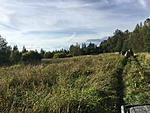 saunasafari 2 2019 100