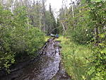 saunasafari 2 2019 067