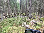 saunasafari 2 2019 063