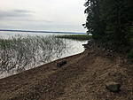 saunasafari 2 2019 075