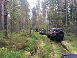 saunasafari 2 2019 071