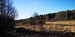 koronasafari111