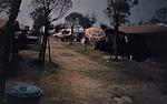 user27345 pic211731 1522587476