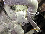 IMG 3425