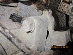 IMG 3429