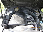 IMG 4118