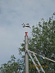 IMG 3959