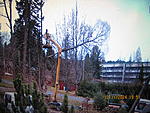 IMG 4194