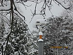 IMG 4324