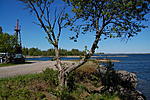 DSC 0117