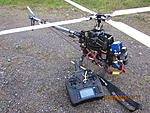 IMG 4561