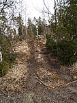 P1014943
