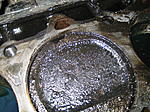 IMG 0041