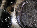 IMG 0040