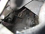 IMG 0053
