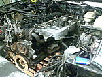 06062009073