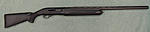 Winchester SX2[1]