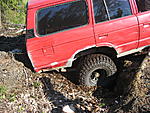 Rasor piv 27.6.09 029