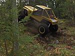 ossi 001