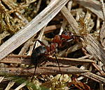 DSC 0063