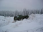 IMG 0013